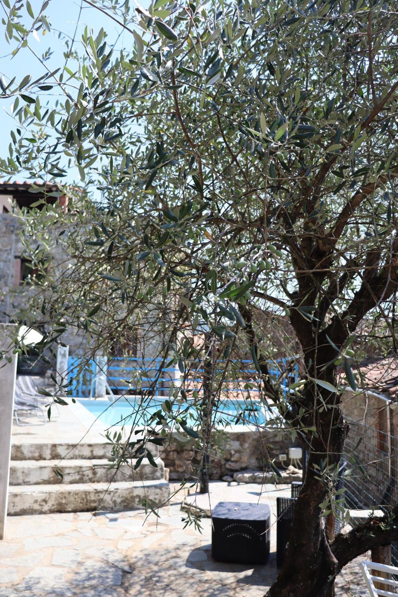 Carpe Diem Colognora Villa Vetriano Luaran gambar