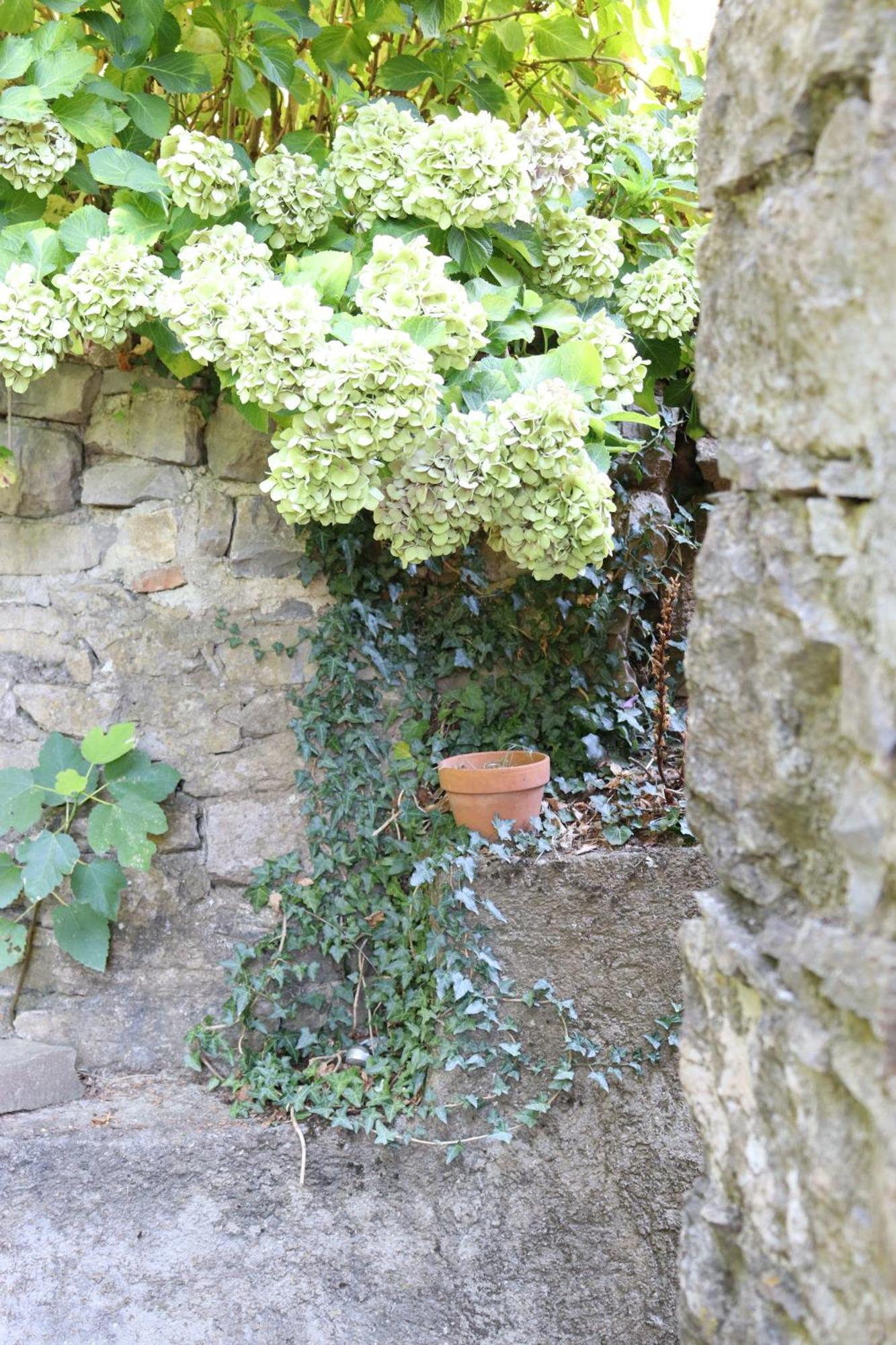 Carpe Diem Colognora Villa Vetriano Luaran gambar