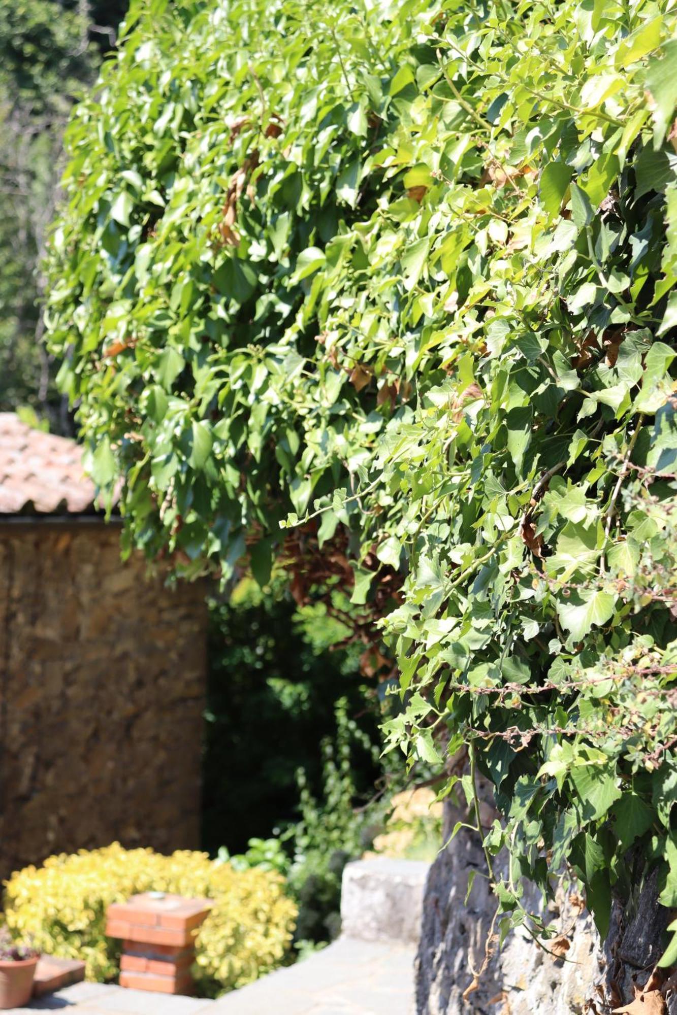 Carpe Diem Colognora Villa Vetriano Luaran gambar