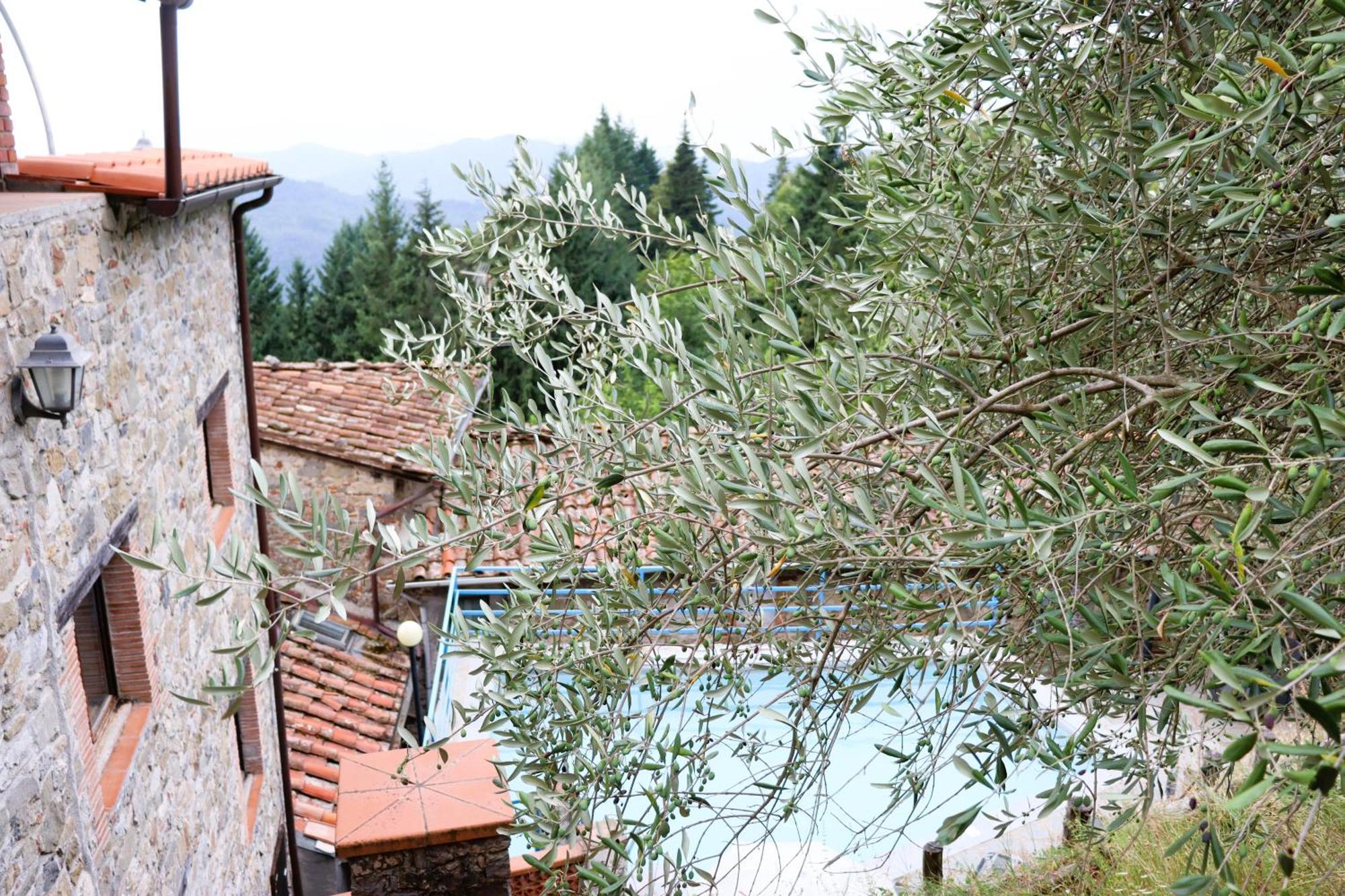 Carpe Diem Colognora Villa Vetriano Luaran gambar